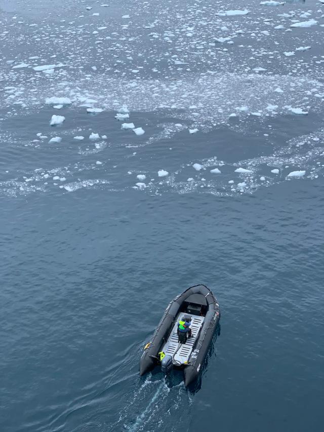 Rib Insurance Rib Insurance